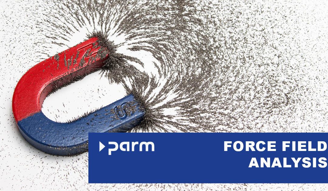 Análisis del campo de fuerzas en la gestión de proyectos