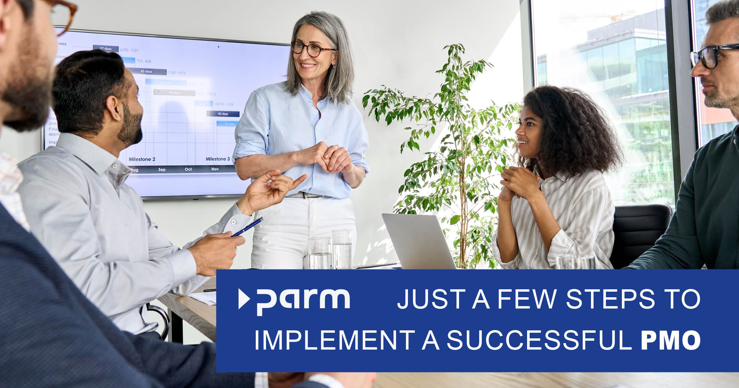 Implementation of a PMO