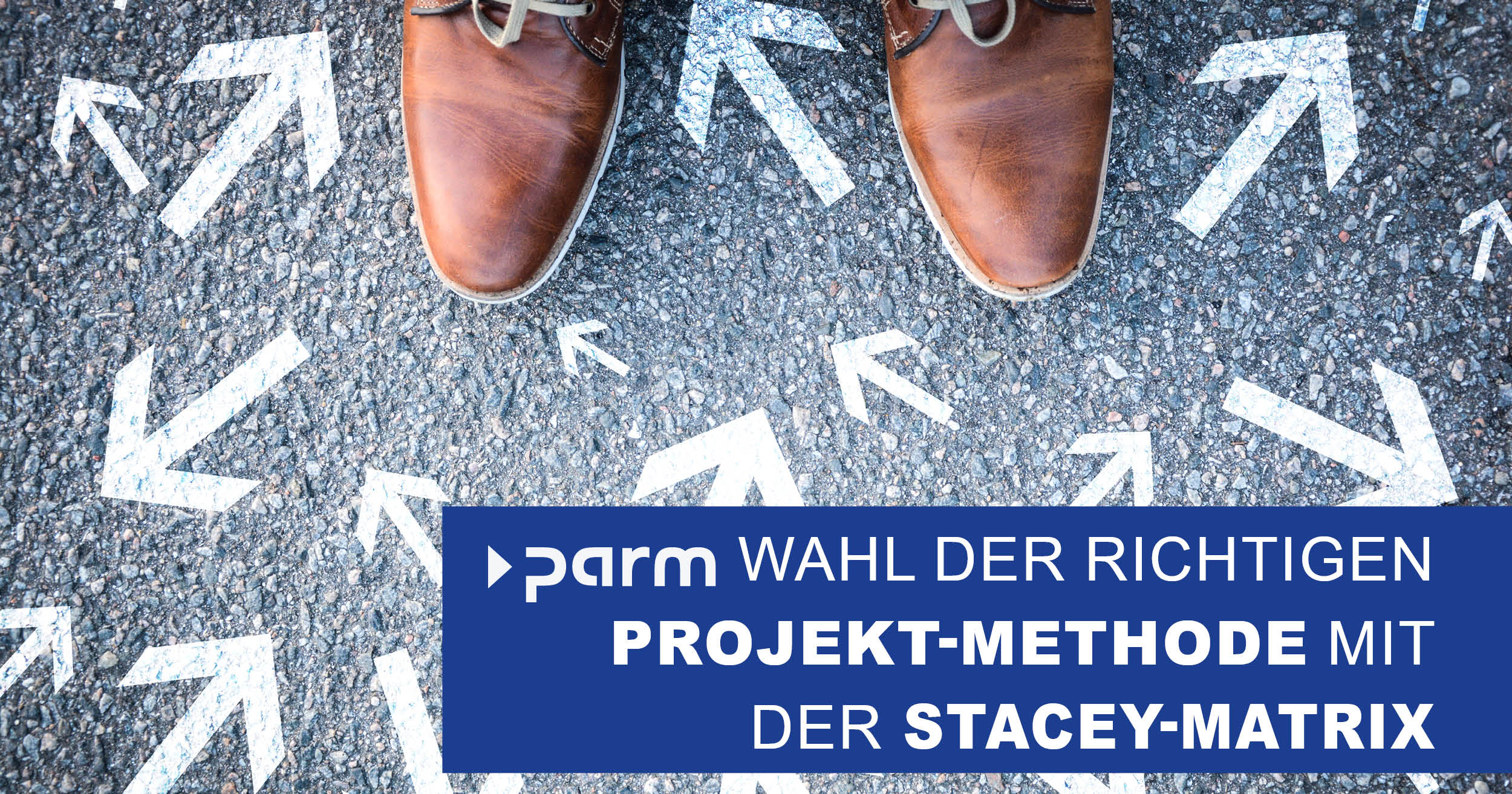 Auswahl der richtigen Projektmethode mit der Stacey-Matrix