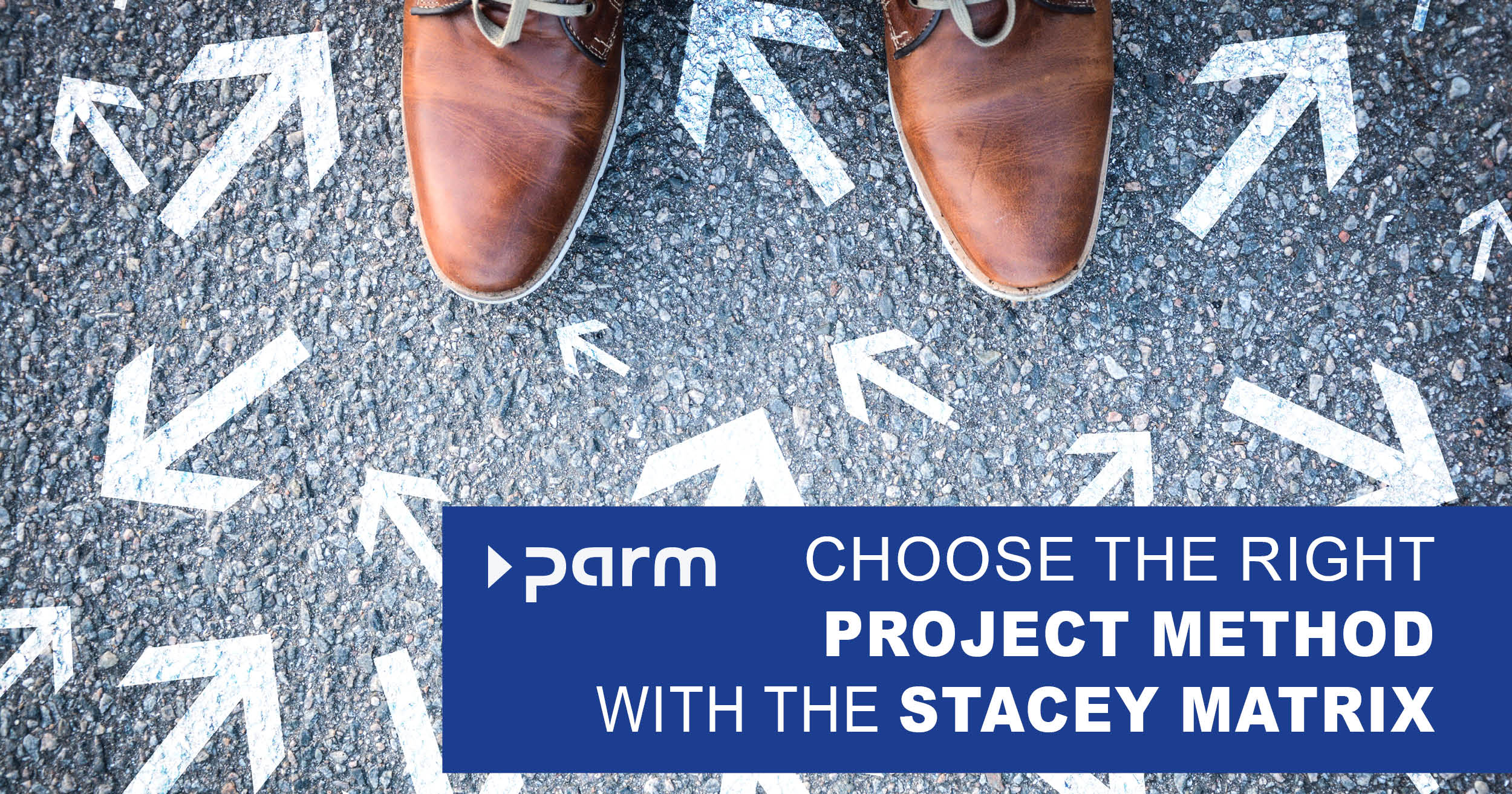 Selecting the optimal project method with the Stacey Matrix