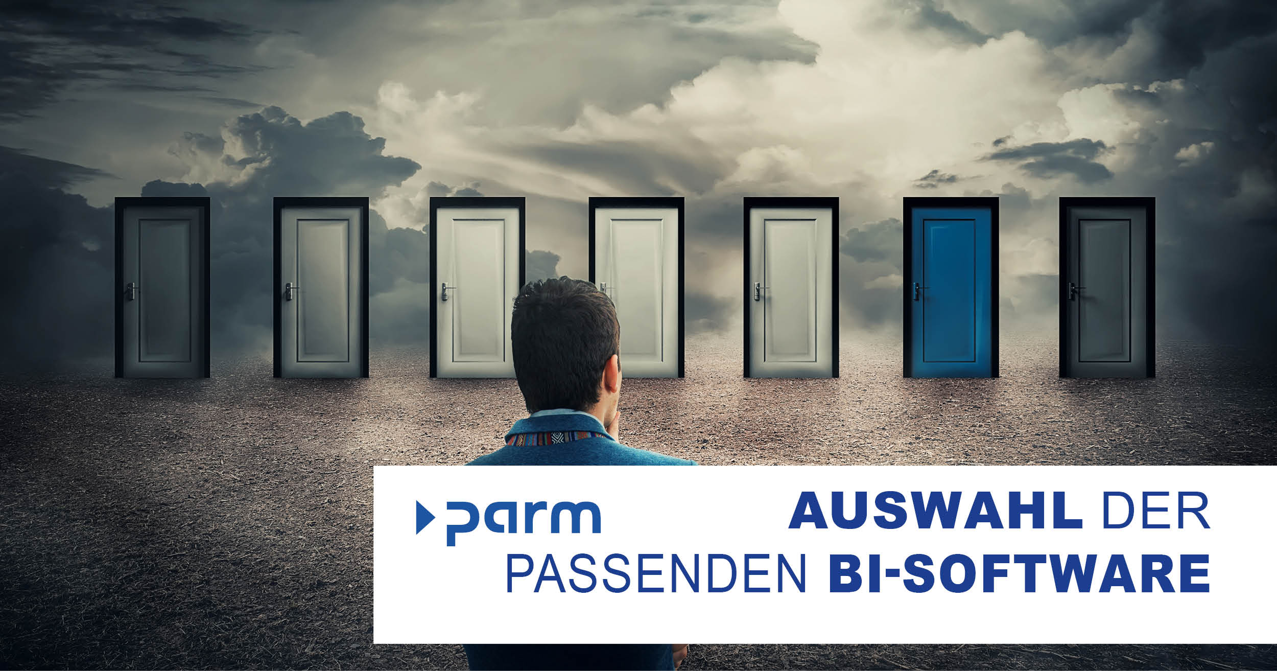 Auswahl der richtigen BI-Software