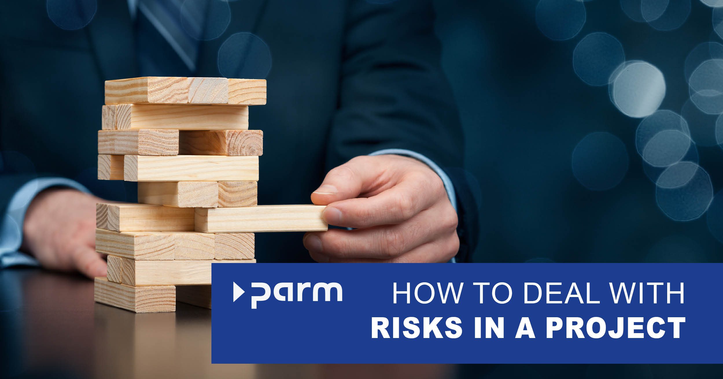 Risk management in the project