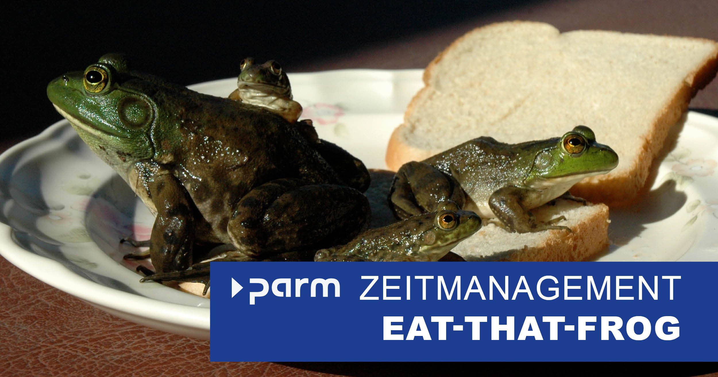 Zeitmanagement im Projekt: Eat-that-Frog