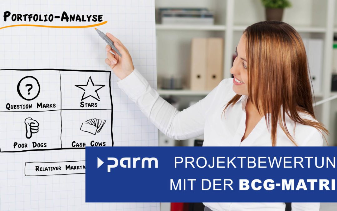 Die BCG-Matrix im Projektmanagement