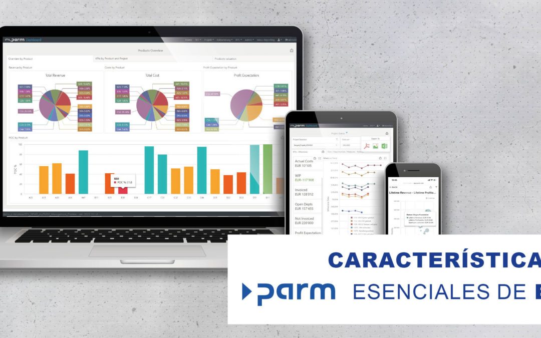 Estas características de BI son esenciales