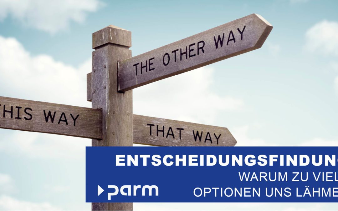 Das Paradoxon der Entscheidungsfindung
