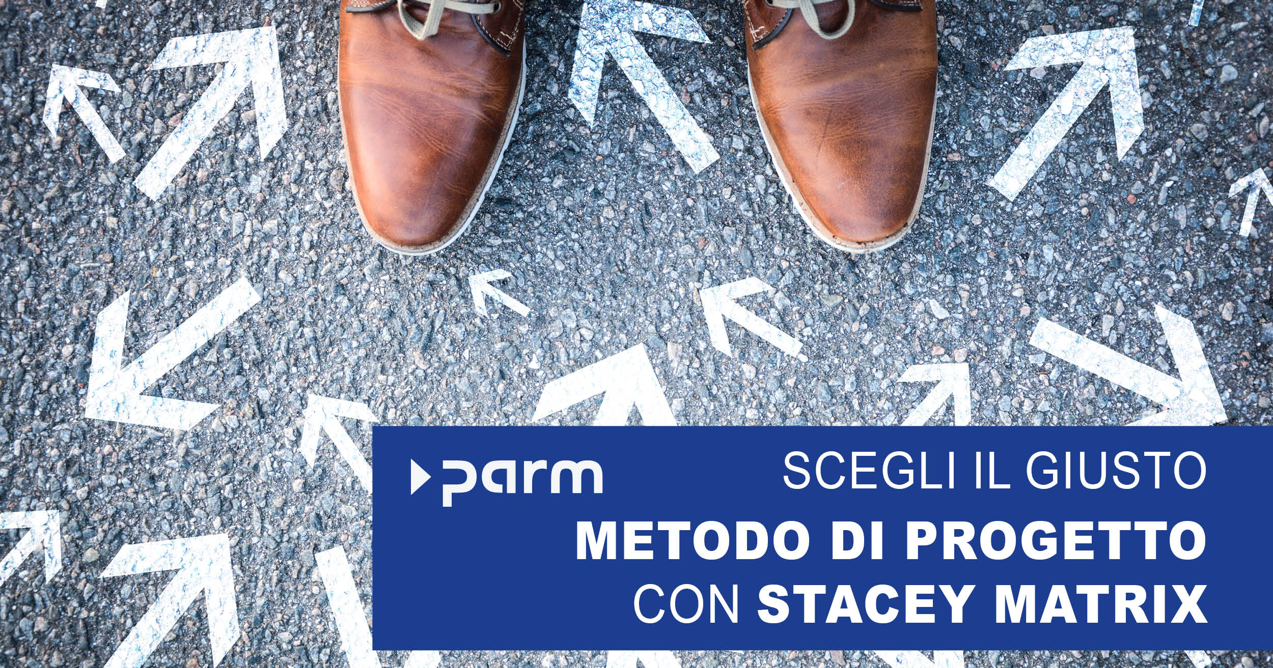 Gestire i portafogli di progetti con la Matrice di Stacey
