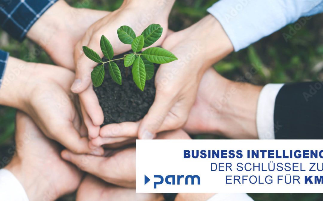 Datengetriebene Revolution: Business Intelligence als Schlüssel zum Erfolg für KMU