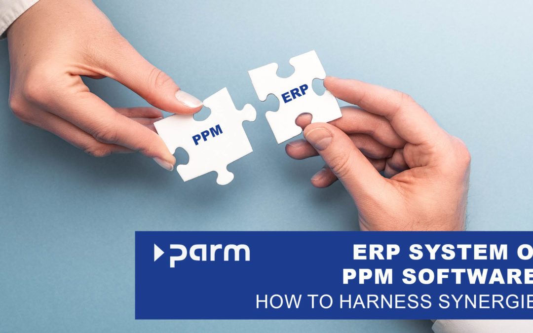 ERP System, Project Management Software, or both?