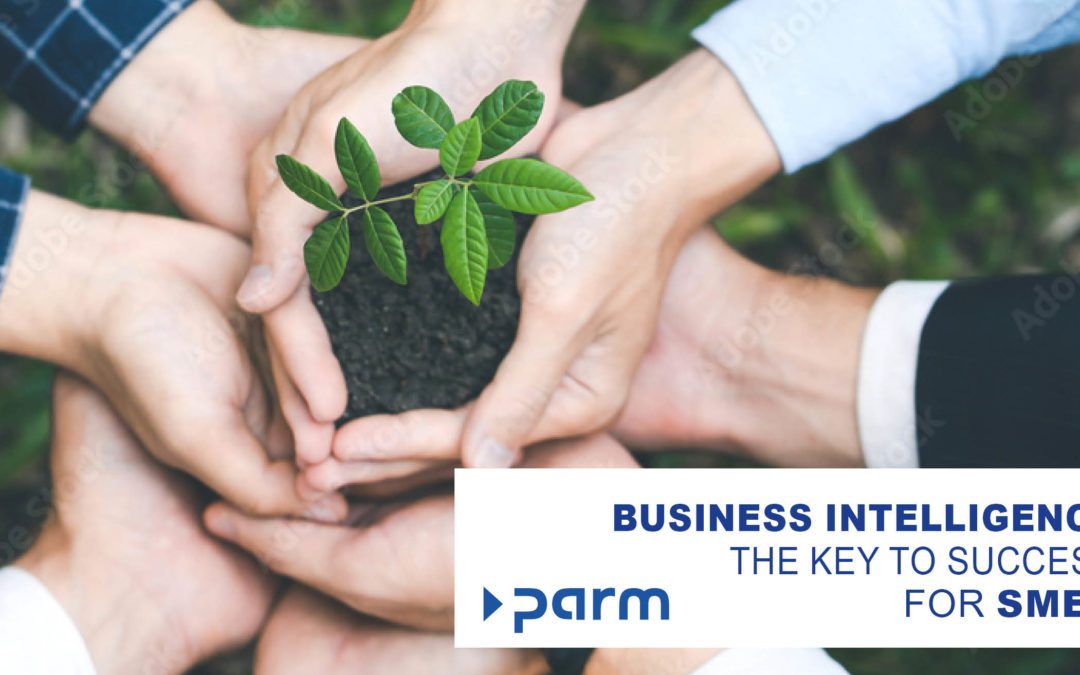 Data-driven revolution: Business Intelligence as the key to success for SMEs