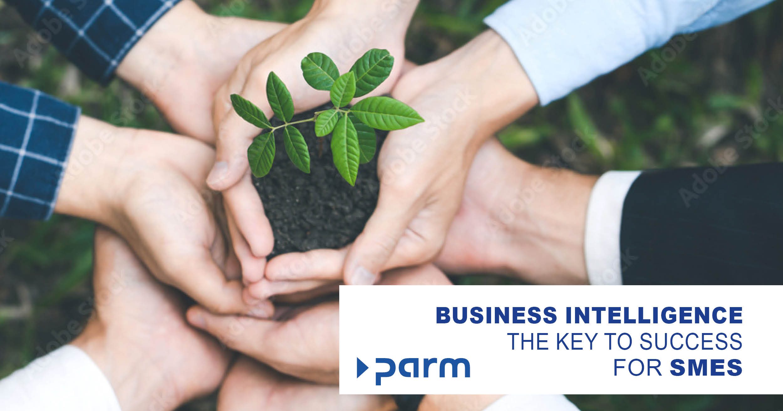 Data-driven revolution: Business Intelligence as the key to success for SMEs