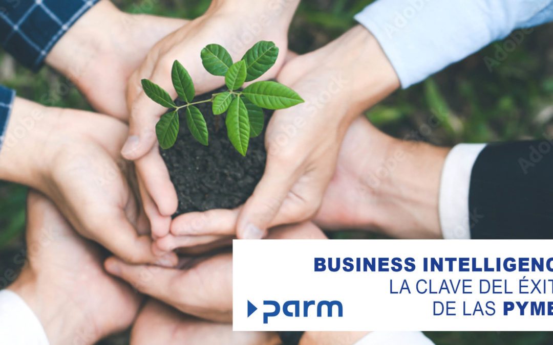 Revolución basada en datos: Business Intelligence como clave del éxito de las pymes