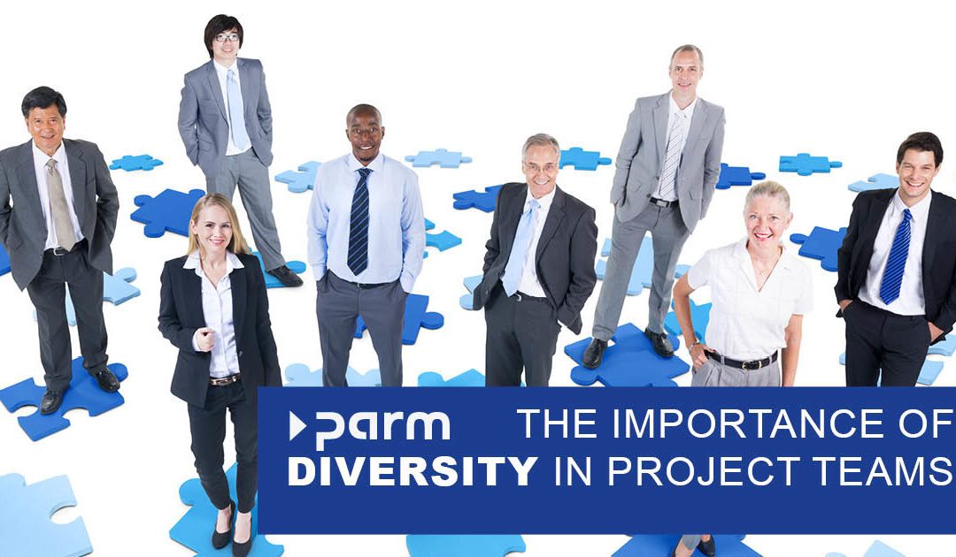 The importance of diversity in project management