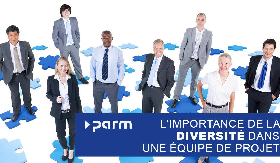 L&rsquo;importance de la diversité en gestion de projet