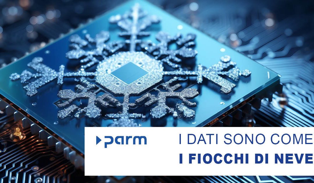 I dati sono come i fiocchi di neve: perché ogni dato è unico