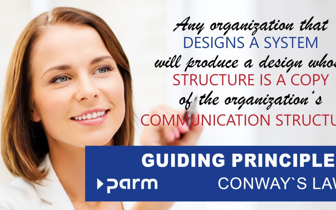 Guiding principles in project management: Conway’s law