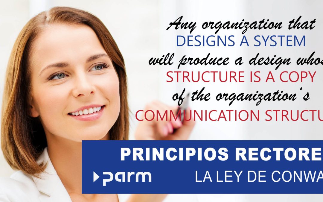 Principios rectores de la gestión de proyectos: la ley de Conway