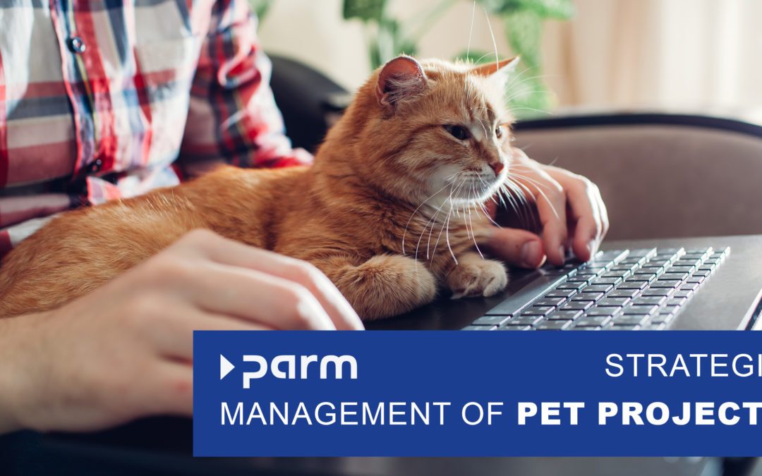 Pet projects – creative outliers or strategic stumbling blocks?