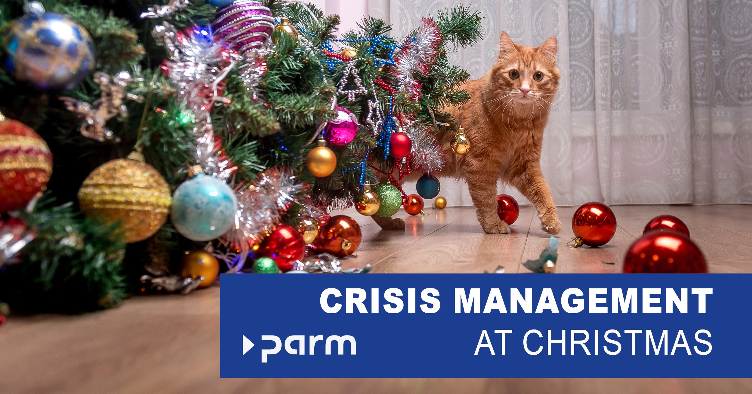 Post_Crisis management Crisis Management Under the Christmas Tree: When Gifts Don't Arrive on Time and Other Holiday Disasters