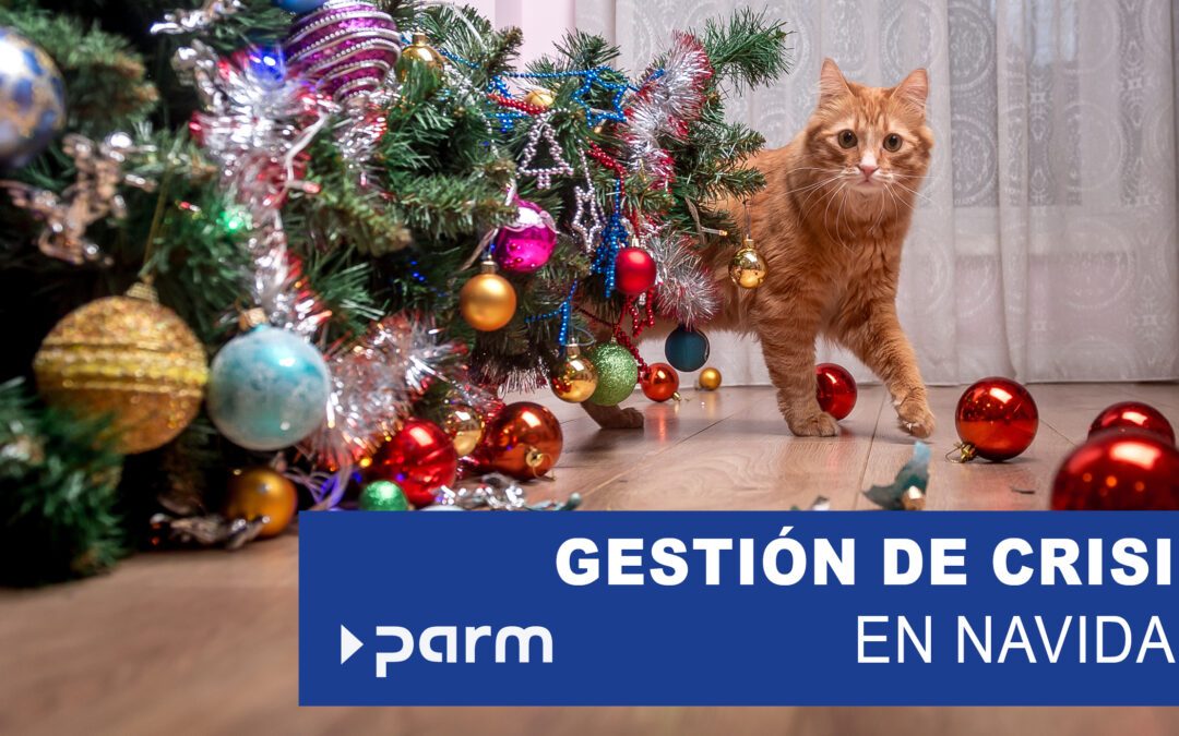 Gestión de crisis bajo el árbol de Navidad