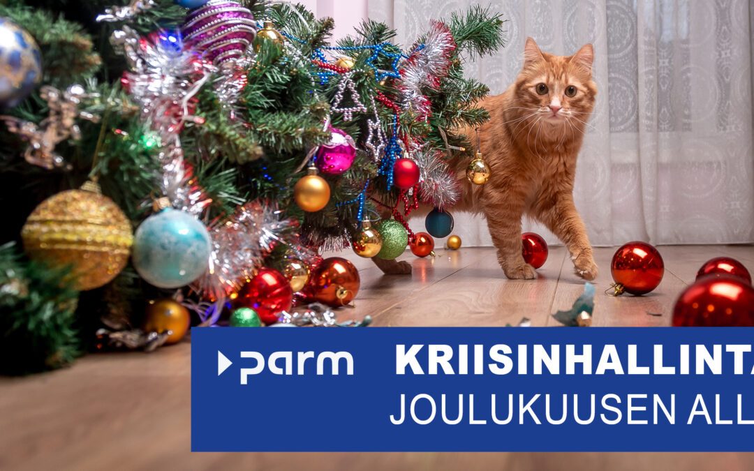 Kriisinhallinta joulukuusen alla