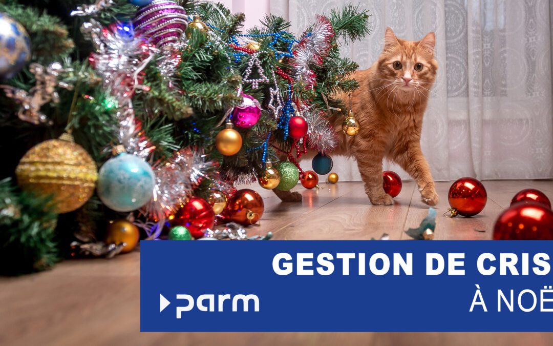 Gestion de crise sous le sapin de Noël