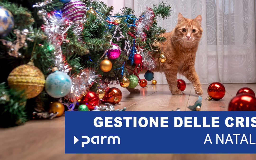 Gestione delle crisi sotto l’albero di Natale