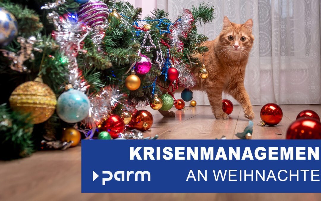 Krisenmanagement unter dem Weihnachtsbaum