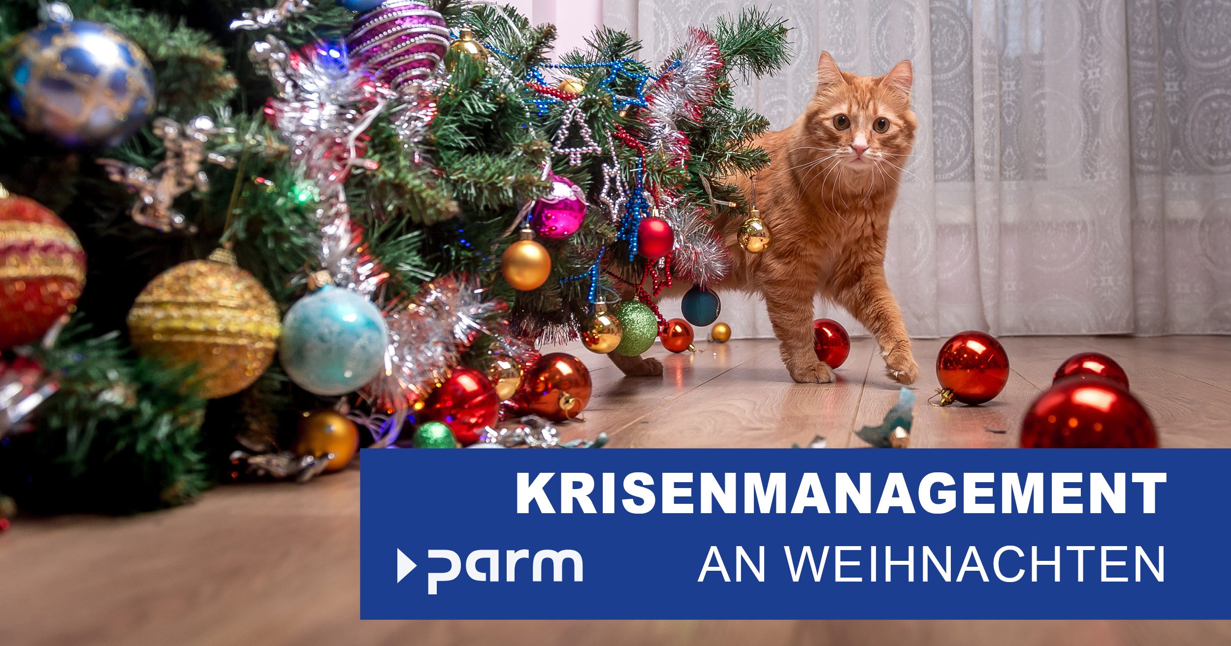 Krisenmanagement unter dem Weihnachtsbaum: Wenn das Geschenk nicht rechtzeitig ankommt und andere Katastrophen