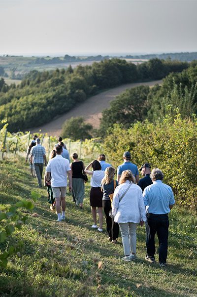Team Event Weinberge