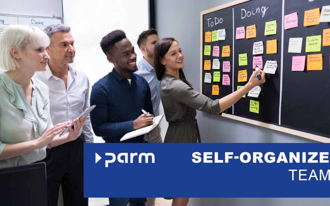 Self-organization in project management