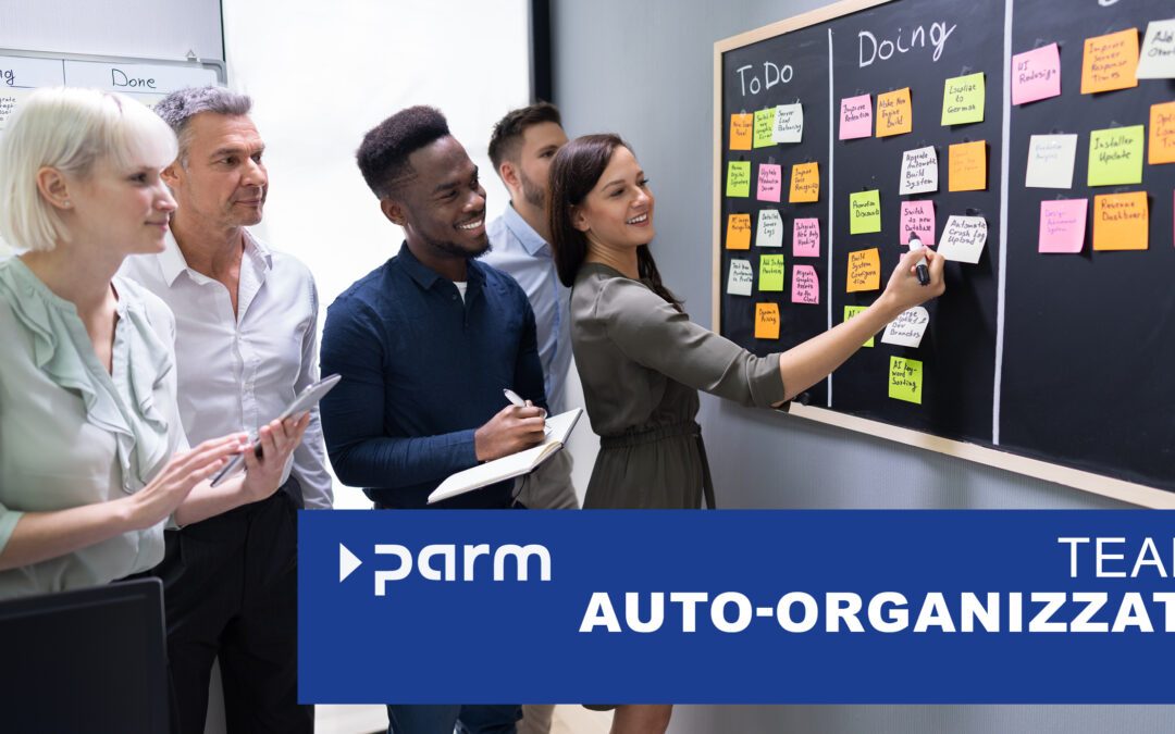 L’auto-organizzazione nella gestione dei progetti