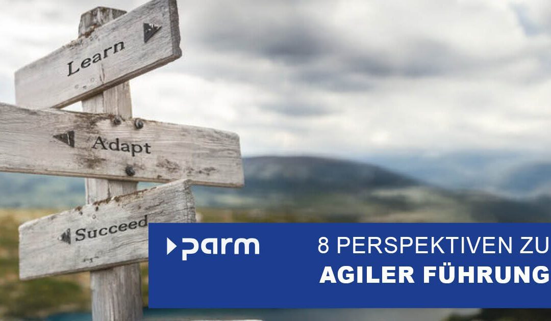 8 Perspektiven zu agiler Führung