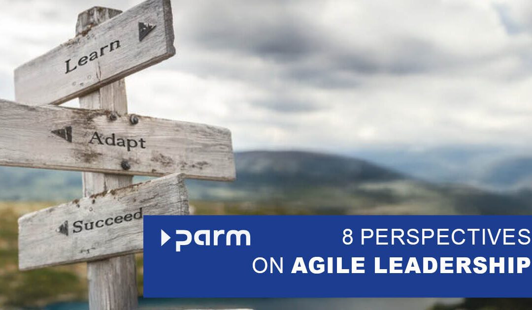 8 perspectives on agile leadership
